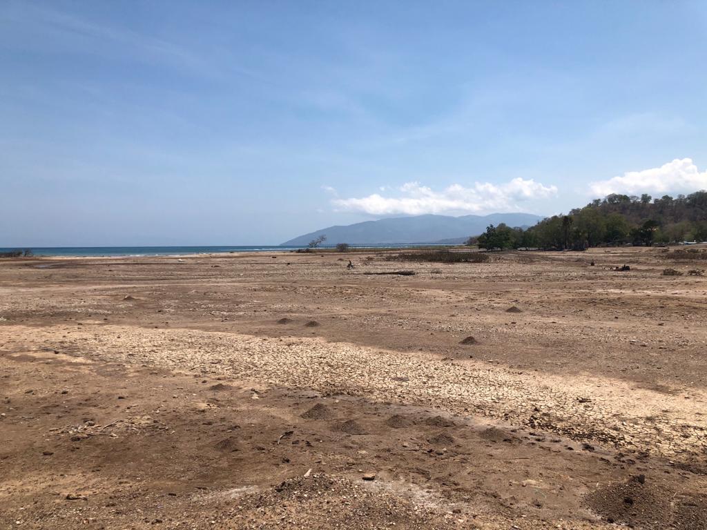 Operations Site